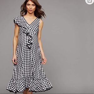 Pea In The Pos Ruffled Gingham Maternity Dress